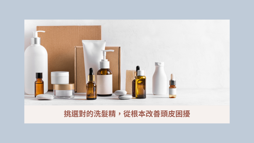 挑選對的洗髮精,從根本改善頭皮困擾